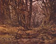 Wald im Spatherbst Caspar David Friedrich